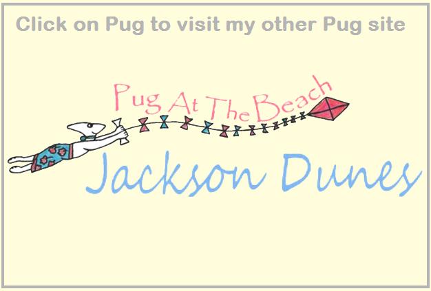Pug Lady website banner